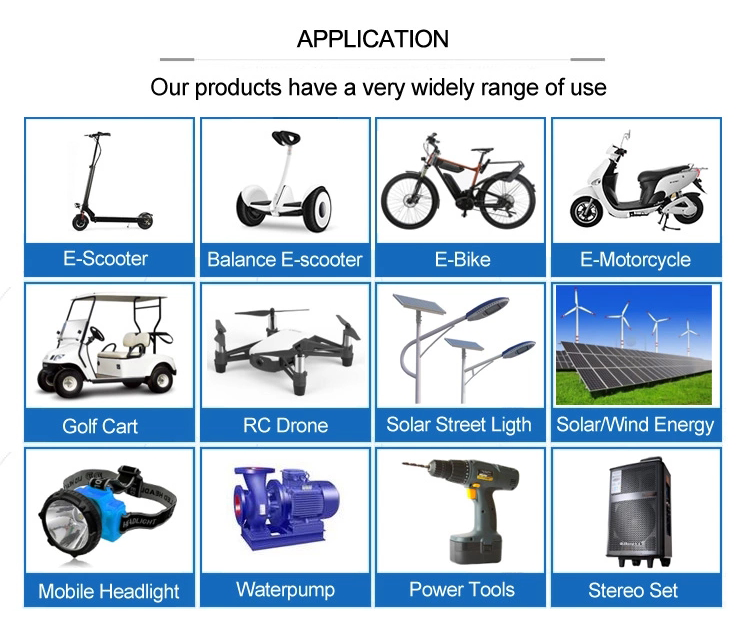 RoHS 40ah Electric Bike Lithium Battery 24v Li Ion Battery Pack
