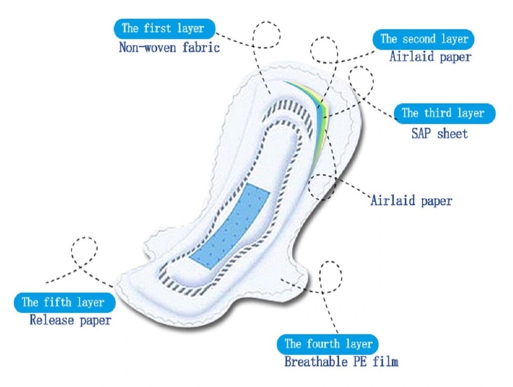 Menstrual Period Thin Maxi Biodegradable Sanitary Napkins