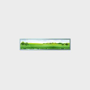 Quality 19.1 Inch Bar Type Bus Advertising Display 1920*340 LVDS 700nits wholesale