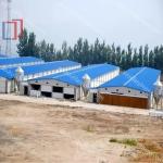 Low Cost Industrial Steel Structure Warehouse Building Construction Cost