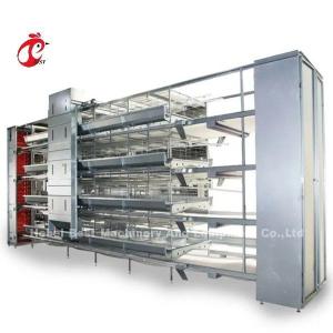 Quality Modern H Type Automatic Chicken Cage Equipment For 25000 Birds Farm Emily wholesale