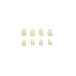 Quality Orthodontic FDA 3D Printed Removable Tooth Crown Polishing Porcelain Temporary Teeth wholesale