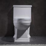 Handicap American Standard Ada Elongated Toilet 1 Piece Water Conservation
