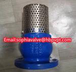 JIS ANSI 125LB cast iron flanged foot valve