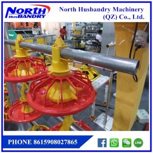 Quality Poultry Feed Female Breeder Chain Feeding System Conveying Line wholesale