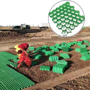 Quality Onsite Installation HDPE Plastic Green Grass Grid Parking Paver for Parking Lots wholesale
