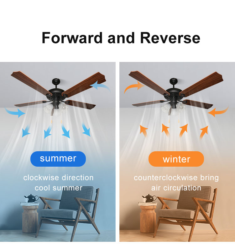 52 inch Traditional LED Ceiling Fan with 5 MDF Blades and Lighting Solutions Service