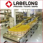 Rotary Oil Bottling Machine 304 Stainless Steel 220V / 380V Voltage Vacuum
