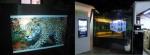 Holographic Projection Film Display For Advertising Window TV Spectaculars