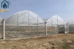 Film Multi Span Nursery Greenhouse Prefabricated Hydroponic System Greenhouse