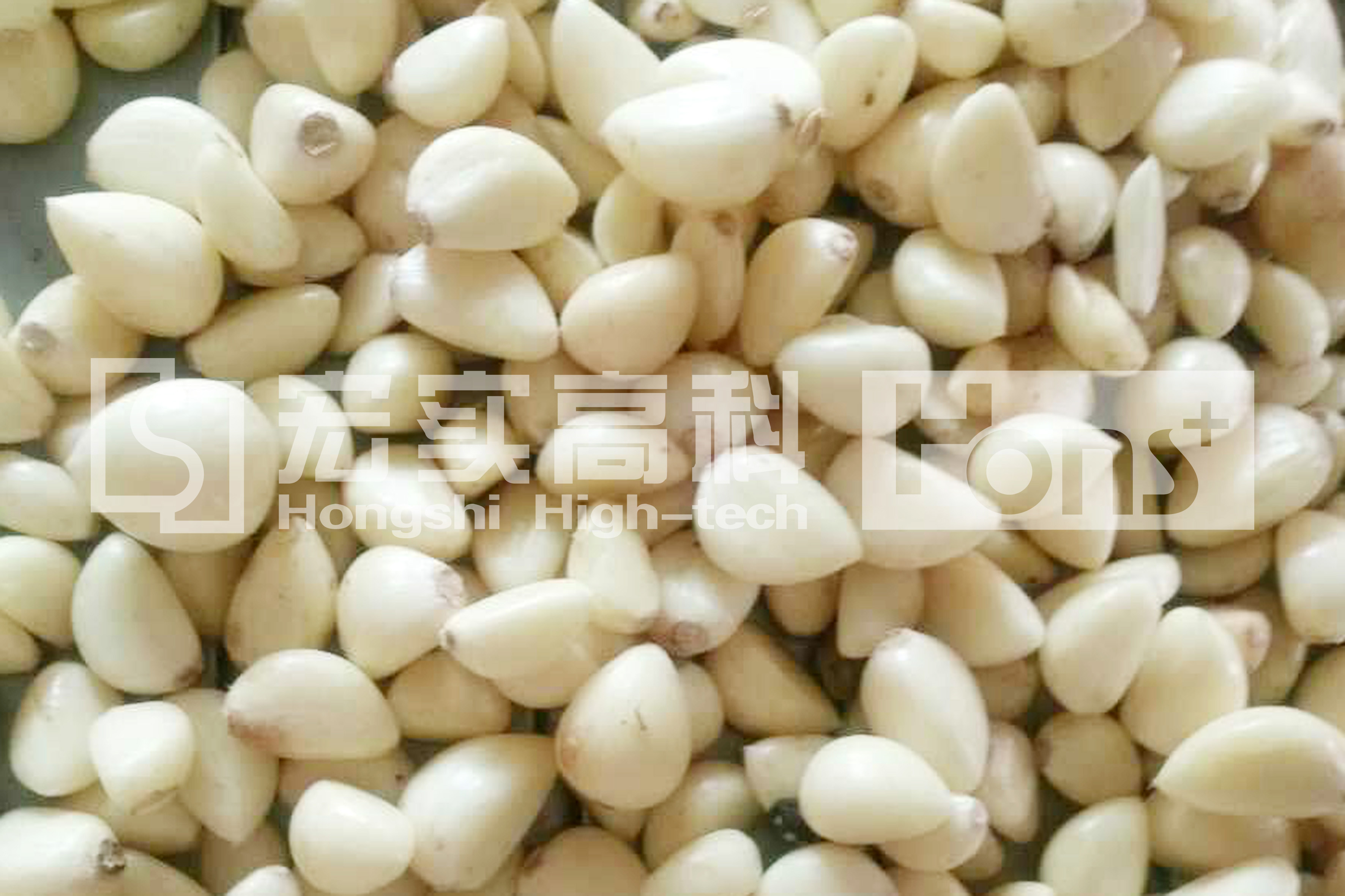 White Color Garlic CCD Color Sorter Grain Color Sorter Quintuple Chutes