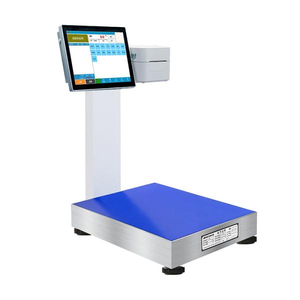 300KG Carbon Steel Medical Scale Industrial Weighing System for Pharmaceutical