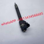 0445110064 Fuel CE Delphi Diesel Injectors