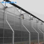 Agricultural Flowers Shading Multi Span Hot Dipped Galvanized Polycarbonate