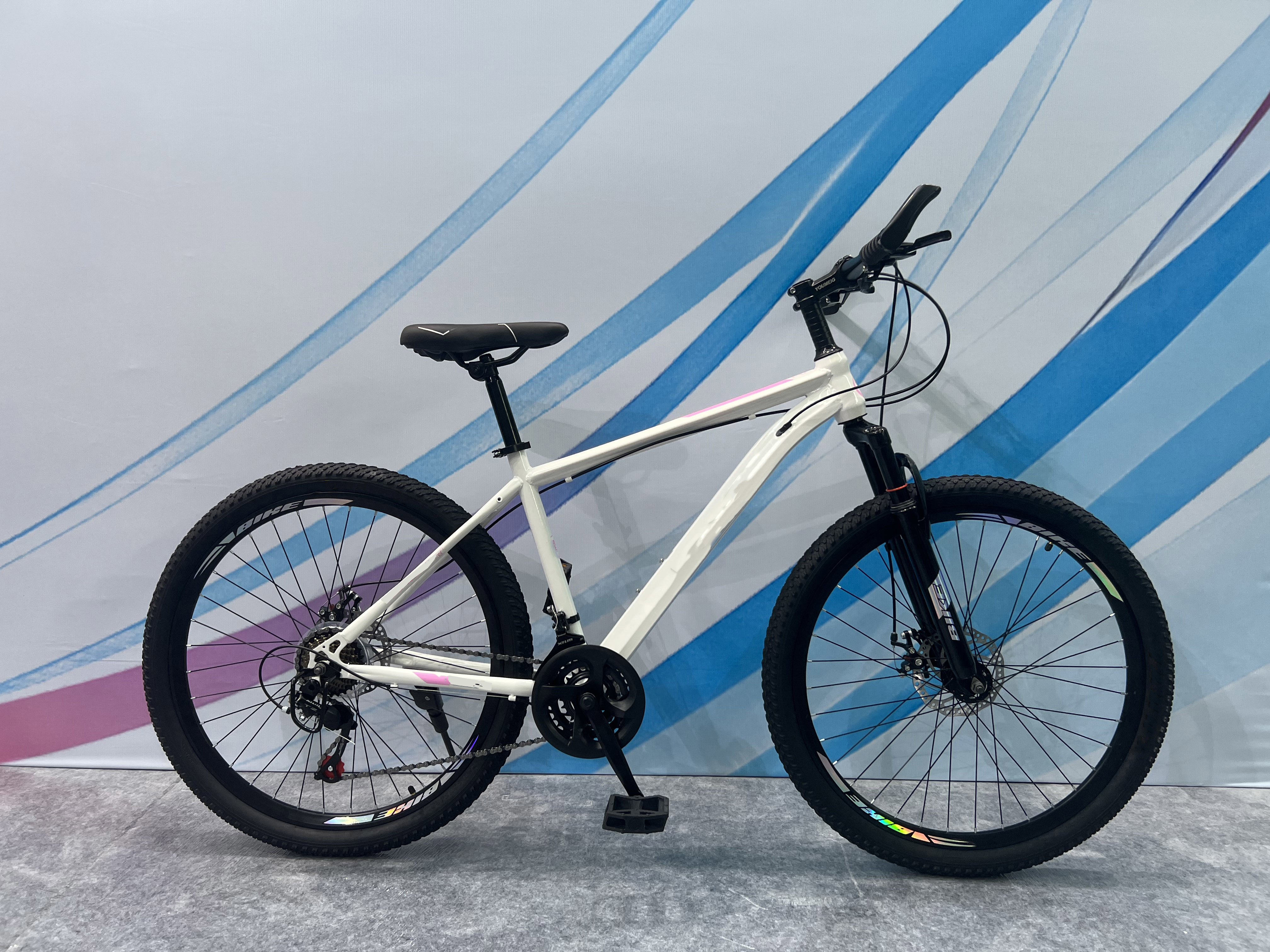 Customized MTB Mountain Bikes with Comfort Saddle and Aluminum Frame