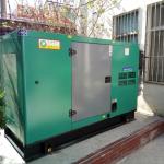 500kW Natural Gas Generator with Soundproof Canopy