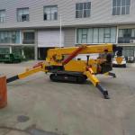 360 Degree Hydraulic Slewing Construction Lifter Tracked Mini 8 Ton Spider Crane