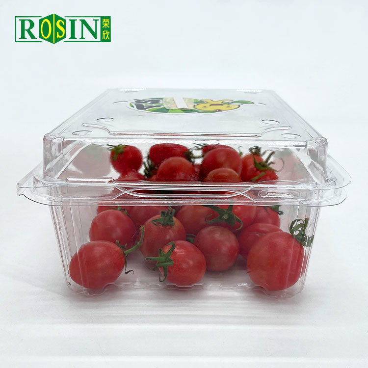 Disposable Clear PET Clamshell Hinged Lid Container Packing Supermarket Plastic Blister Fruit Salad Box With Holes