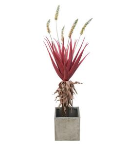Quality Red Giant Succulent Artificial Tropical Tree Potted Plant Indoor Home Decoration wholesale