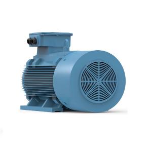 Quality 6 Pole Synchronous Motor Permanent Magnet wholesale