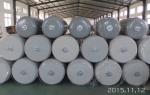 Shunhang BV Certified EVA Foam Fender Ocean Buoy PU Covered