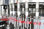 600ml Full Automatic Drinking Water Production Line , Filling Packing Machine