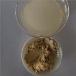 Hot Sale Medicine Grade Labisia Pumila Extract