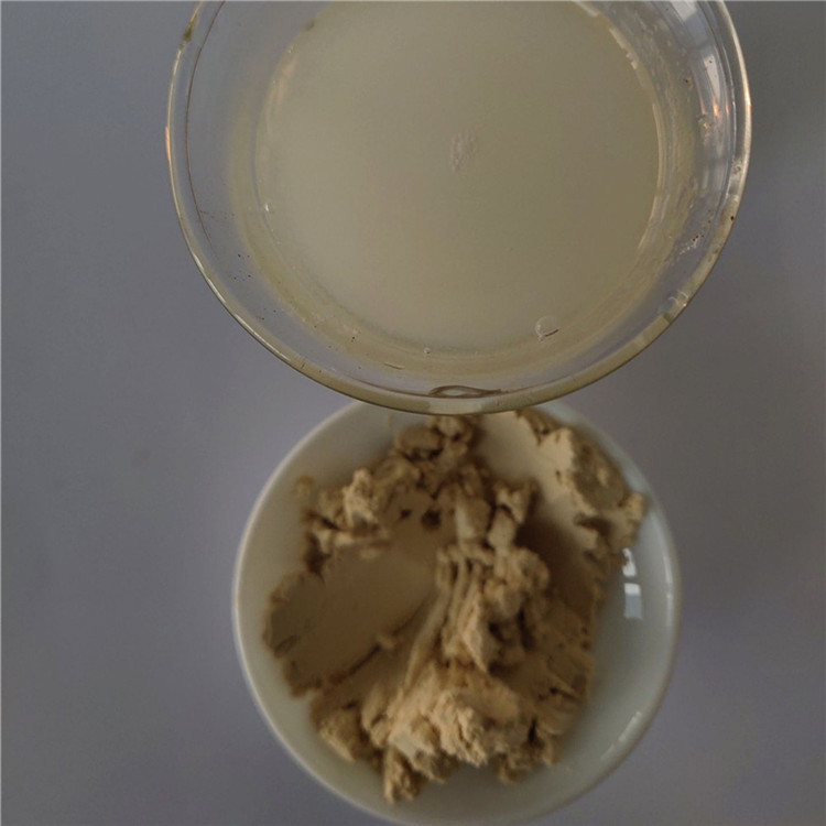 Hot Sale Medicine Grade Labisia Pumila Extract