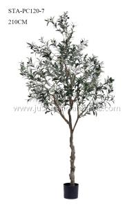 Quality Non Toxic Faux Potted Olive Tree , Faux Olive Tree In Pot Mediterranean Vibe wholesale