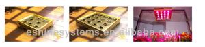 Quality Buy or regret ! 320w led grow light for mari growing wholesale
