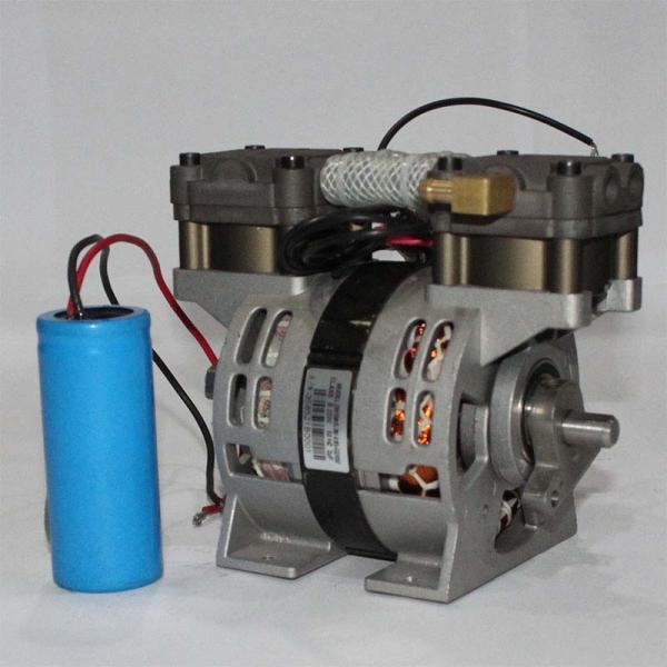 100W Oil Less Piston Compressor Disinfection Equipment Compressor Oilless 110V