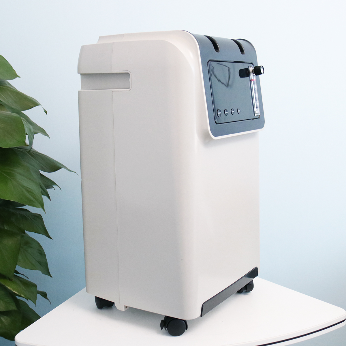 Ce Iso Certification Portable Medical Grade 5L Xnuo Oxygen Concentrator In Stock