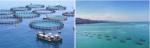 Aquaculture Float PE 100 Sea Cage Fish Farming Culture