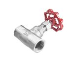 Stainless Steel 304/316 Bsp Thread Globe Valve for Chemical and Petrochemical