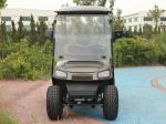 CE Certificated AEV Ranger Golf Cart 25Mph-40Mph Customizable