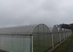 Glass Tomato Plant Greenhouse With Hydroponic Good Weather Resistance