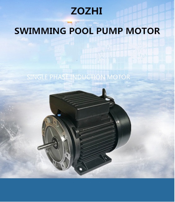 swimming pool pump motor