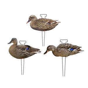 Quality 1200g Lifelike Hunting Decoys PP Board Silhouette Decoys Recyclable Anti Scratch wholesale