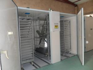 Quality Egg Trolley 30000 Egg Incubator Hatching Machine wholesale