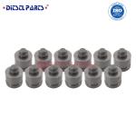 Diesel Engine Delivery Valve 1 418 512 207 for 11994059 / 5000808507