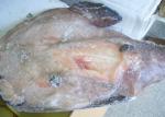 Whole Monkfish Gutted Iqf