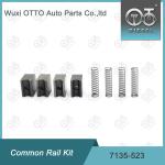 4pcs Common Rail Repair Kit 7135-523 High Speed Steel