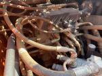 1m3 Bucket Used Doosan Excavator DX215 - 9 For Construction Crushing Demolition