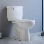 Siphon Jet 2 Piece Wall Hung Toilet Tall 10 Inch Two Piece Commode Elongated