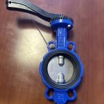 1 Inch Sanitary Stainless Steel Pneumatic Butterfly Valve with Customized