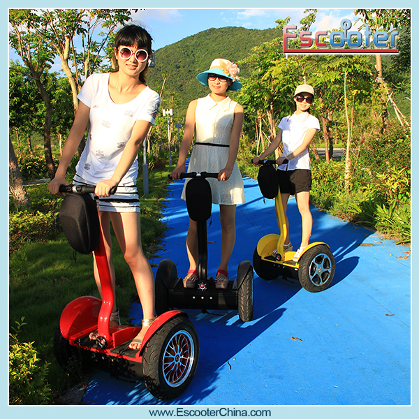 Shenzhen Xinli Escooter Wholesale CE ROHS approved fast electric golf carts