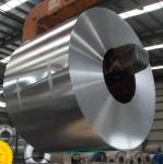 Food Grade DR8 Tinplate Coils For Cannery ETP Electrolytic Sheet