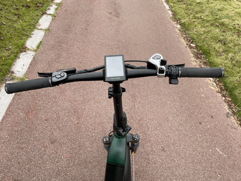 20 Inch Retro Folding Step Thru Electric Bike 48V 750W With LCD Display