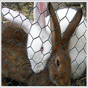 China hexagonal wire mesh on sale