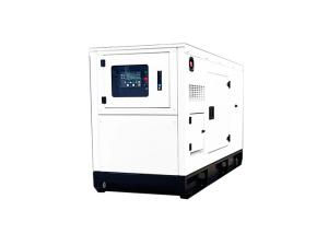 Quality China YangDong Diesel 50 KVA Generator Set Commercial Power Genset 40kw wholesale
